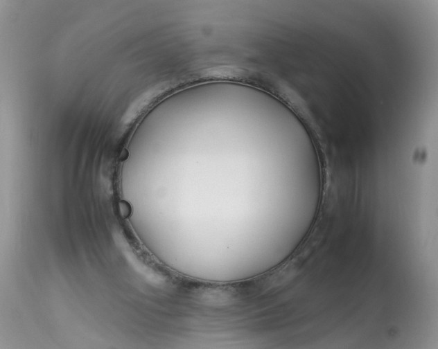 X0000113090106200909111037