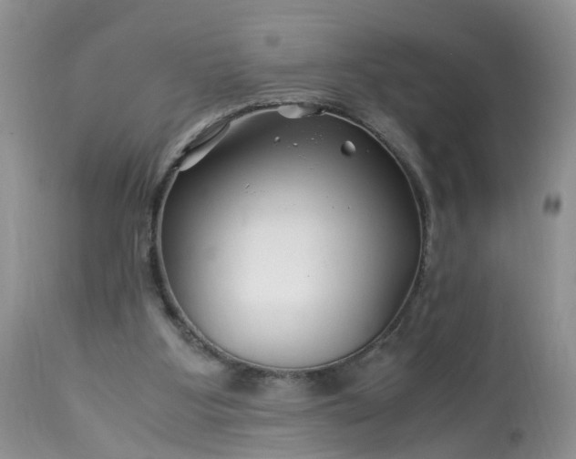 X0000113090107200909111037