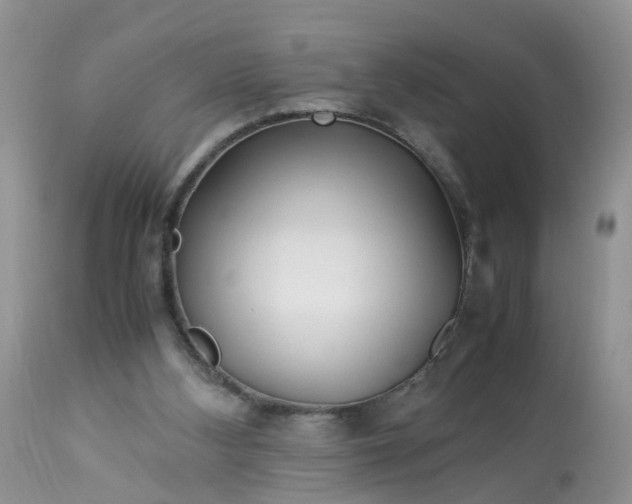 X0000113090108200909111037