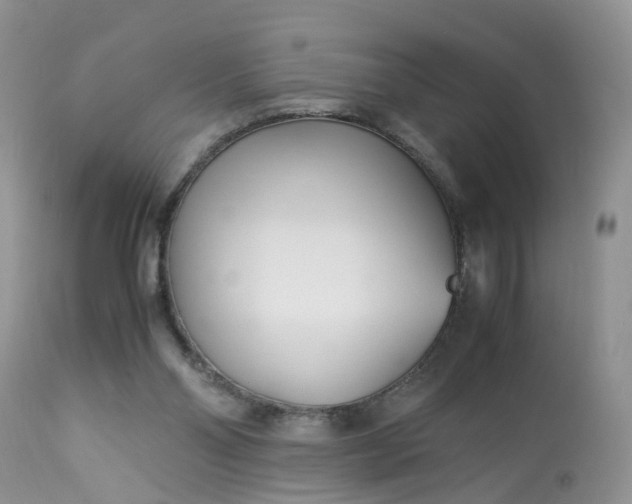 X0000113090110200909111037