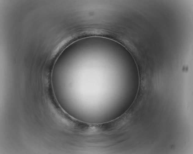 X0000113090111200909111037
