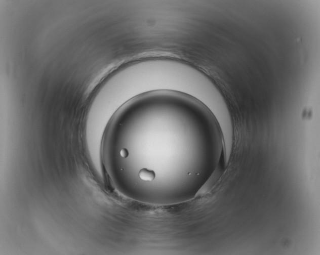 X0000113090112200909111037