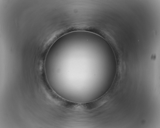 X0000113090115200909111036