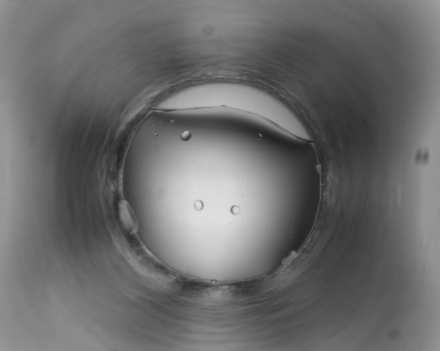X0000113090116200909111036
