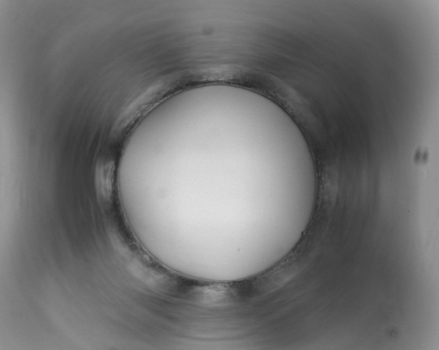 X0000113090118200909111036