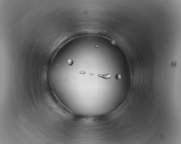 X0000113090120200909111036