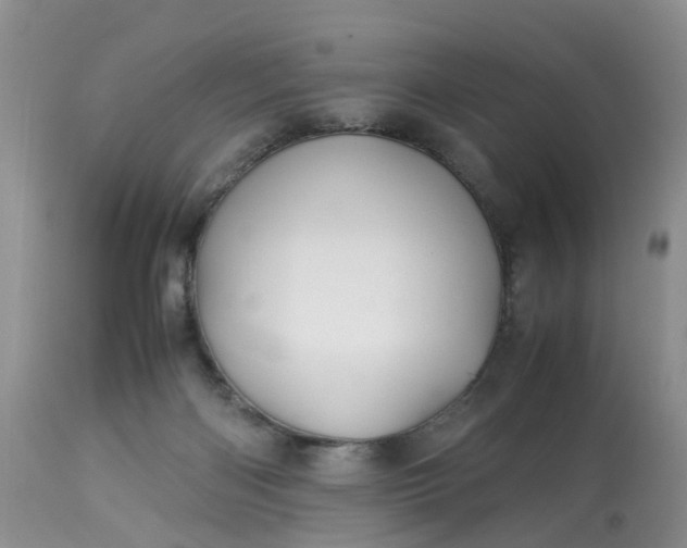 X0000113090122200909111036