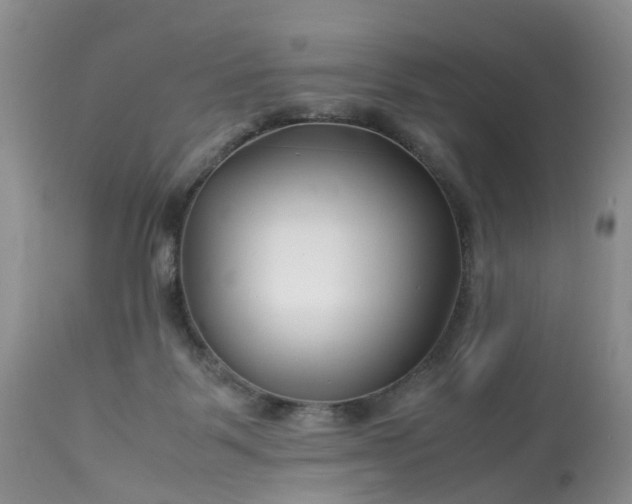 X0000113090123200909111036