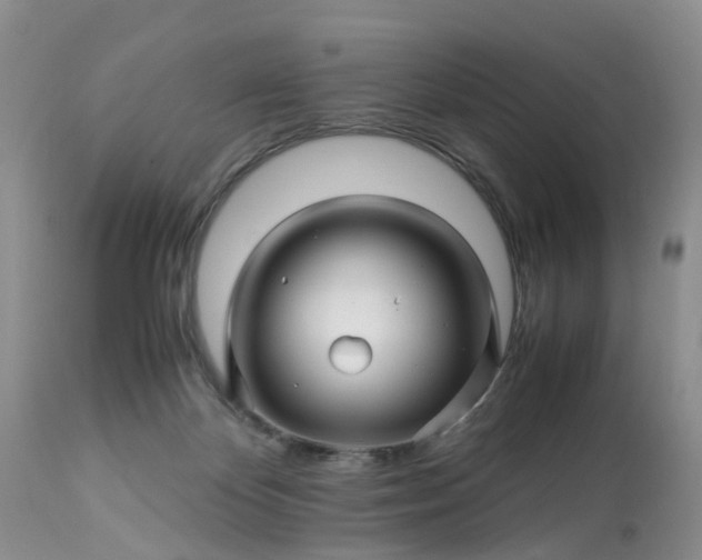 X0000113090124200909111036