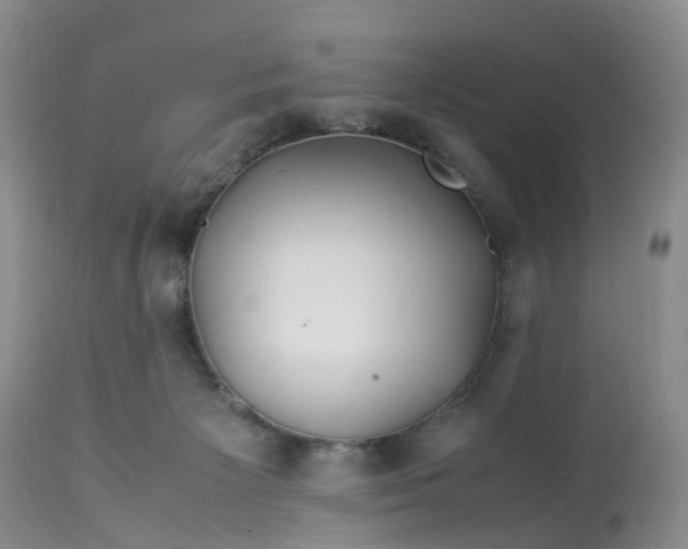 X0000113090125200909111036