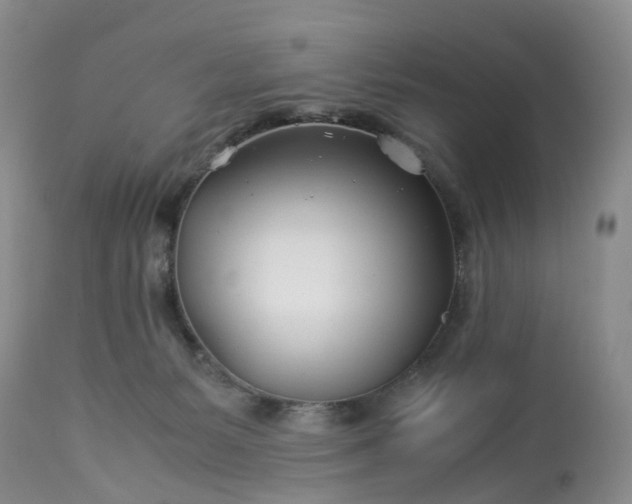 X0000113090127200909111036