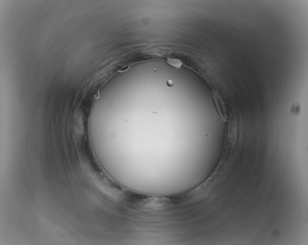 X0000113090128200909111036