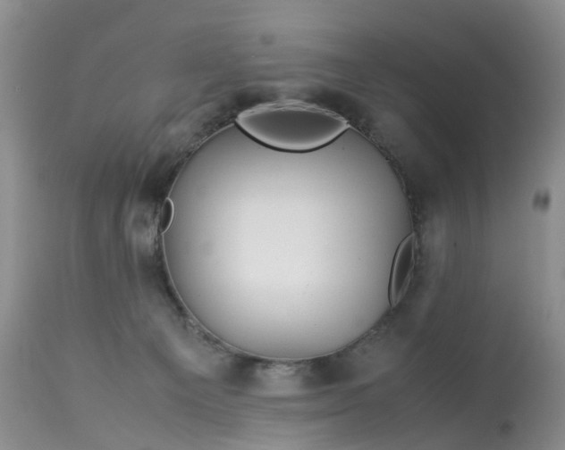 X0000113090129200909111036