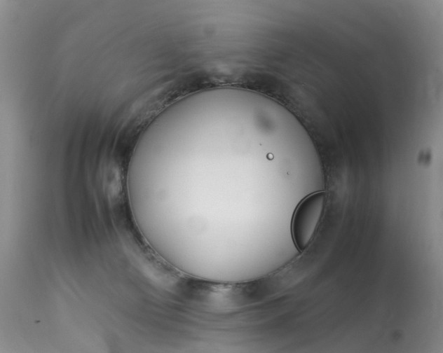 X0000113090130200909111036