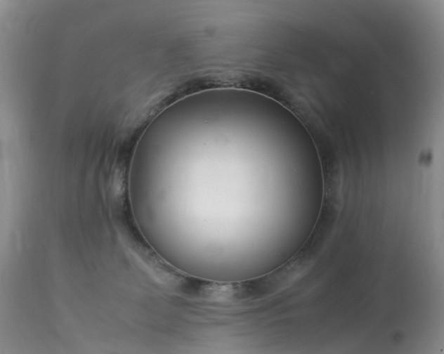 X0000113090131200909111036