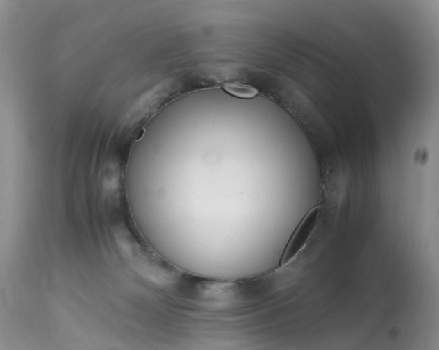 X0000113090132200909111036
