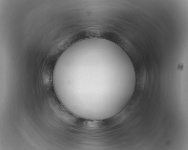 X0000113090134200909111036