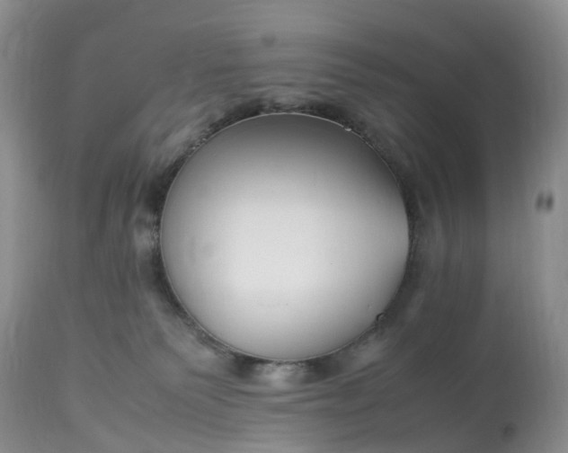X0000113090135200909111036