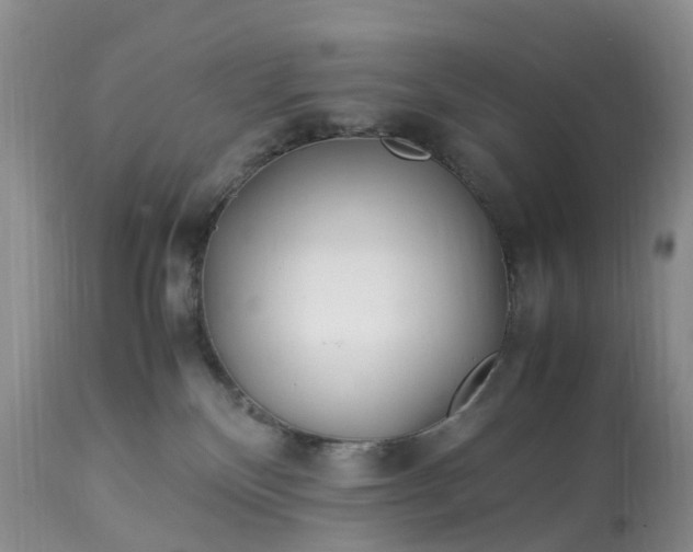 X0000113090136200909111036