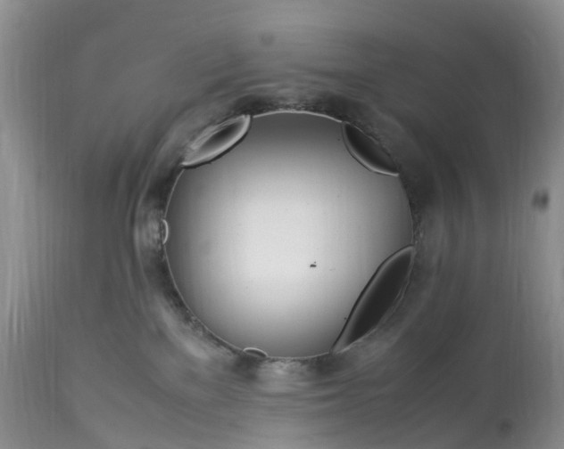 X0000113090137200909111036