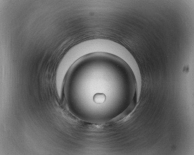 X0000113090140200909111036