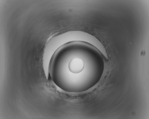 X0000113090144200909111036