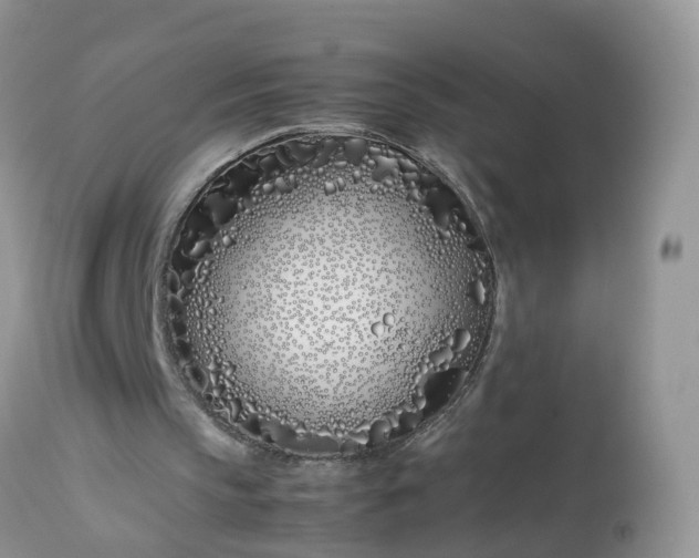 X0000113090145200909111035