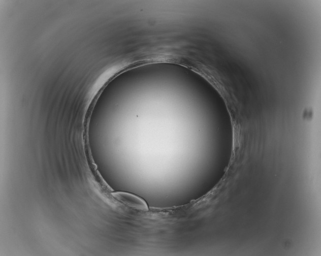 X0000113090147200909111035