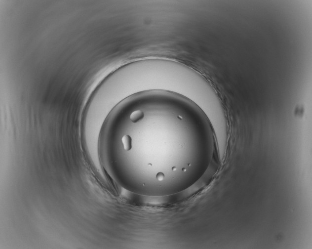 X0000113090148200909111035