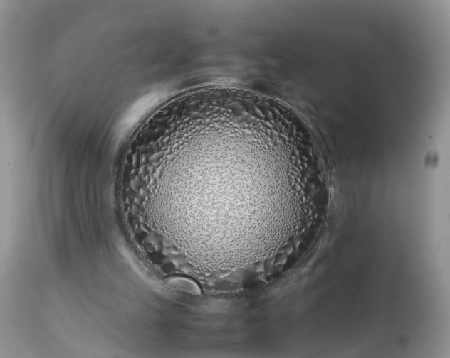 X0000113090149200909111035