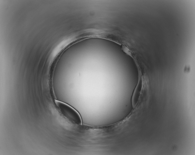 X0000113090150200909111035