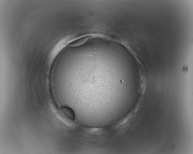 X0000113090151200909111035