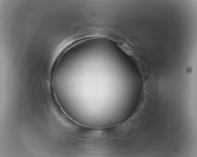 X0000113090152200909111036