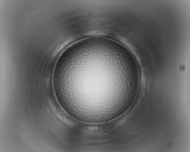 X0000113090153200909111036