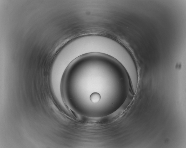 X0000113090154200909111036