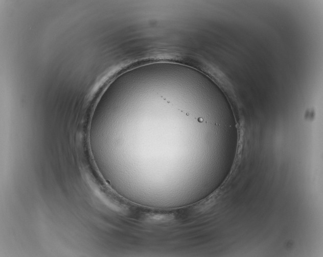 X0000113090155200909111036