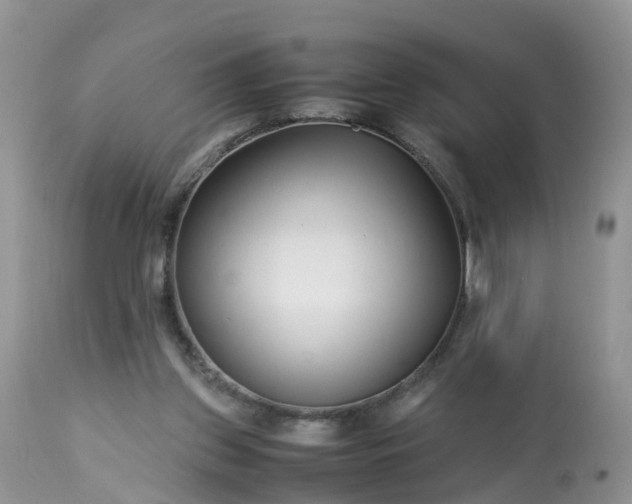 X0000113090157200909111036