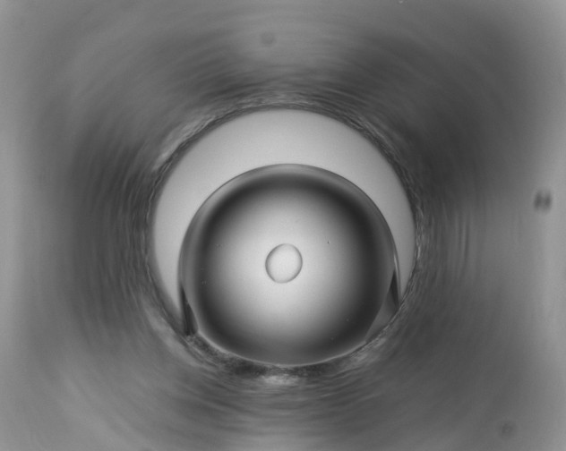 X0000113090158200909111036