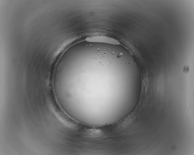 X0000113090159200909111036