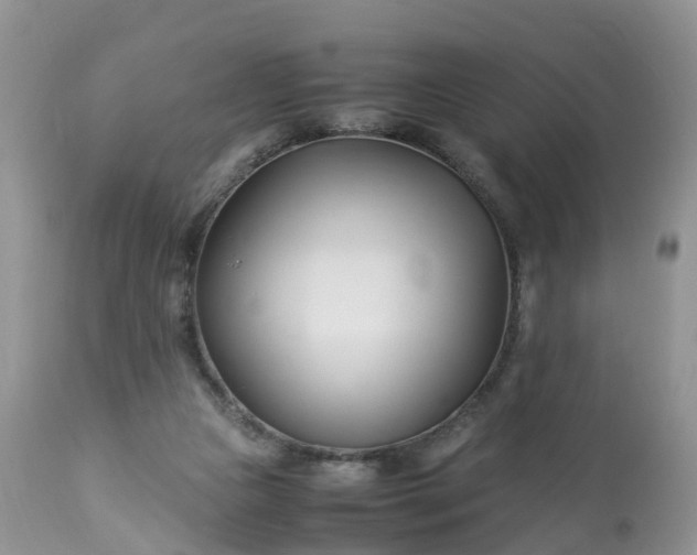 X0000113090161200909111036