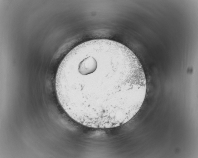 X0000113090162200909111036
