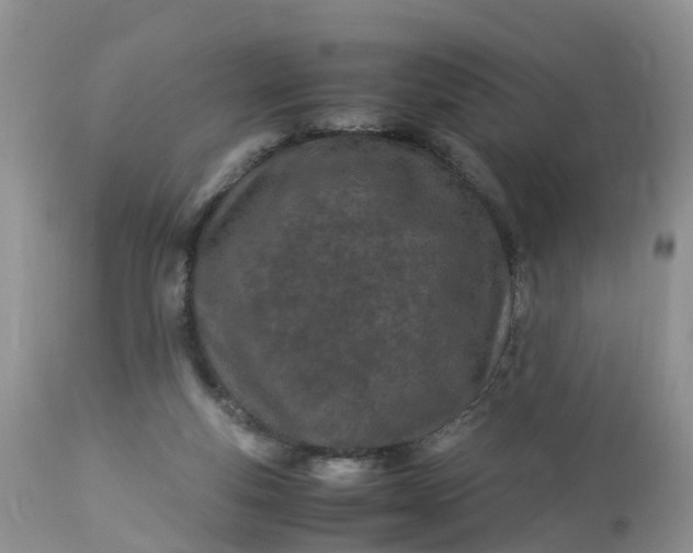 X0000113090163200909111036