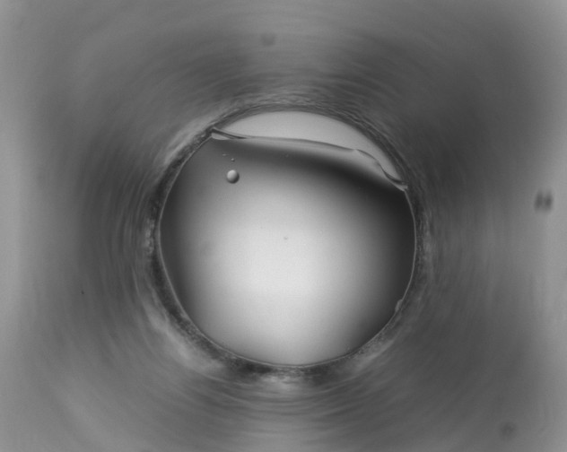 X0000113090164200909111036