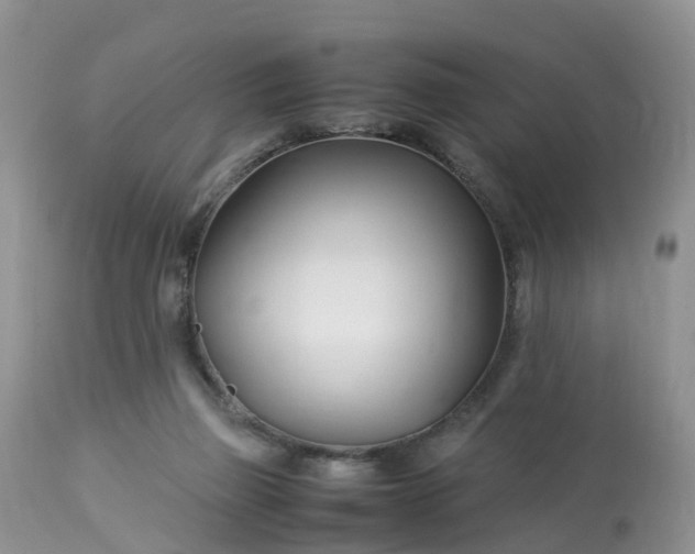 X0000113090165200909111036