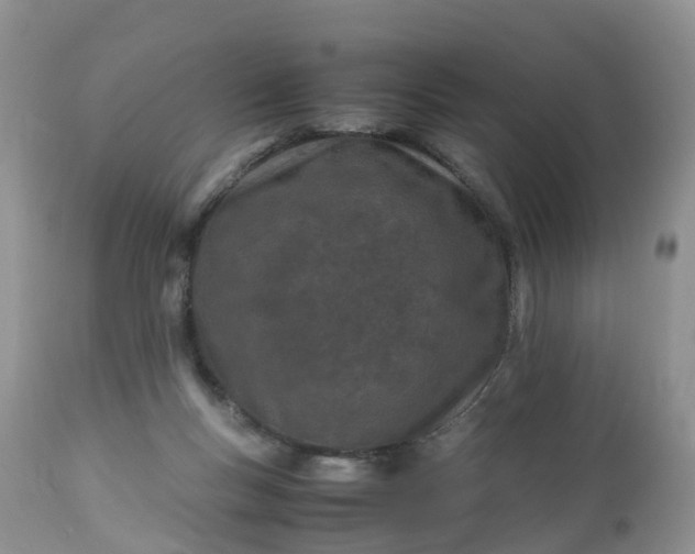 X0000113090167200909111036