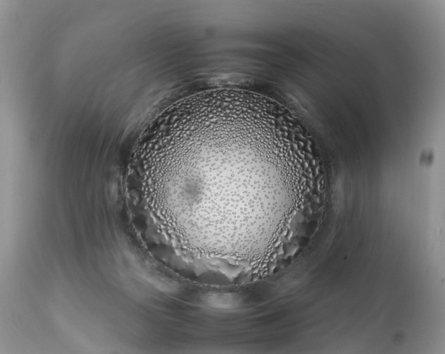 X0000113090169200909111036