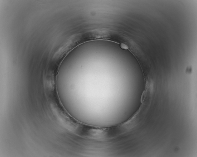 X0000113090170200909111036