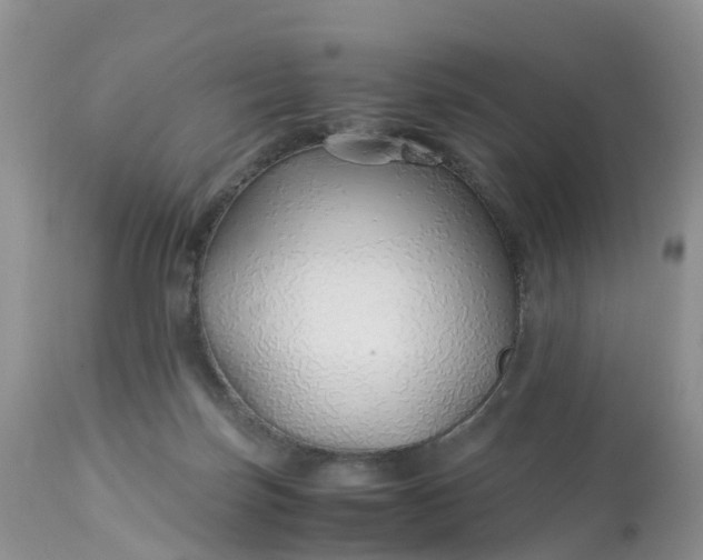 X0000113090171200909111036