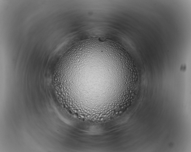 X0000113090173200909111036