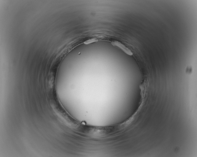 X0000113090174200909111036